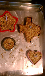 How to make your own bird seed biscuits