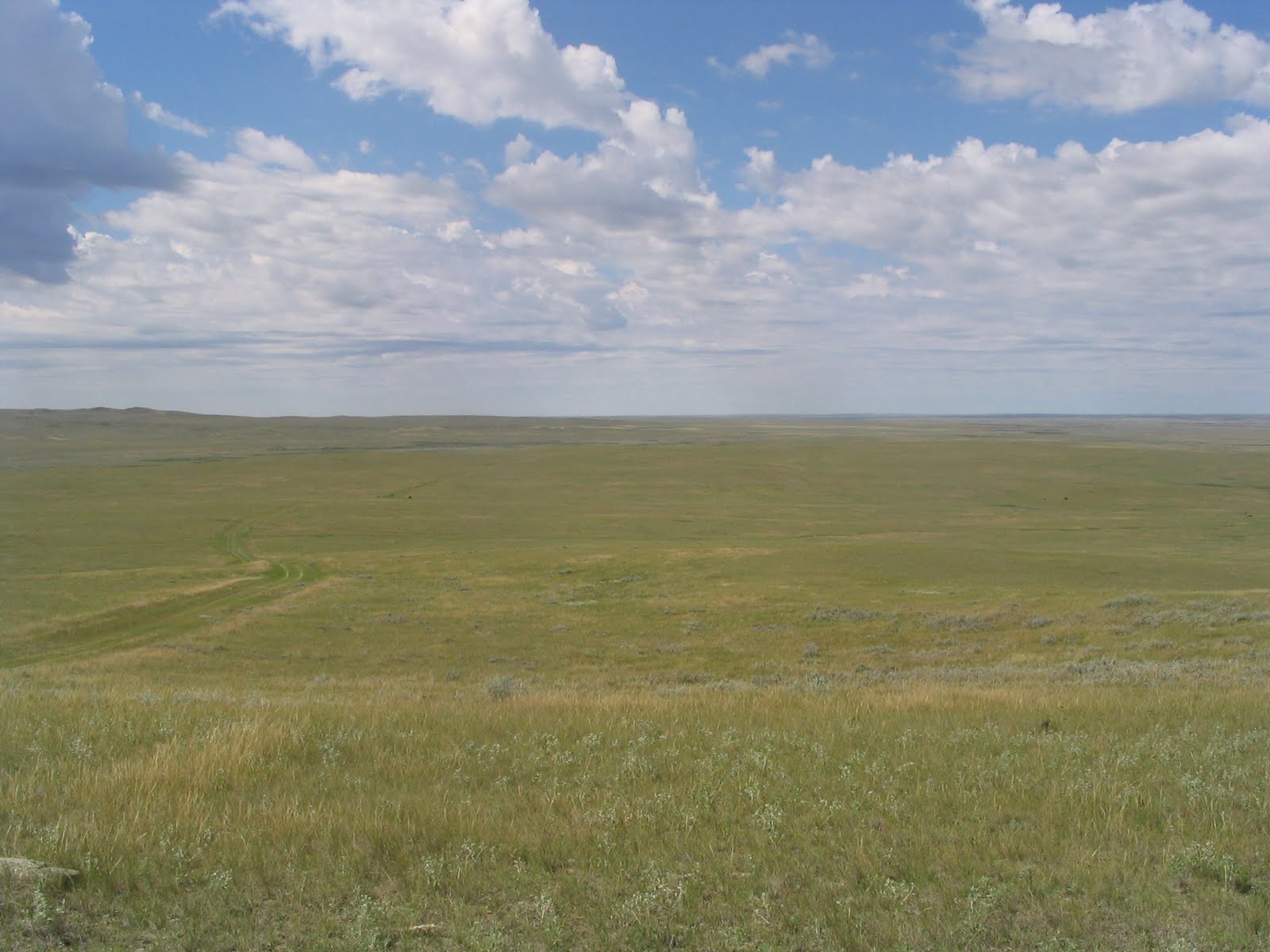 Trevor Herriot's Grass Notes Issues on grassland I am following