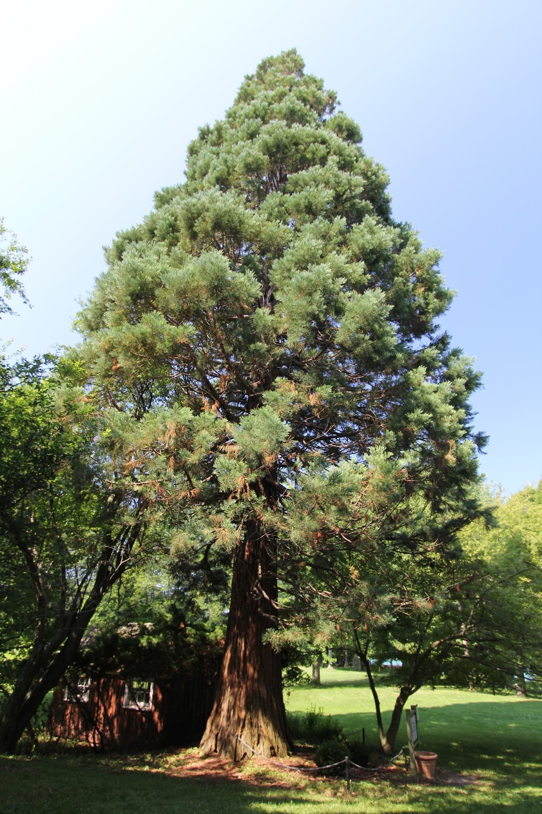 Isabella Conservation District Environmental Education Program Field