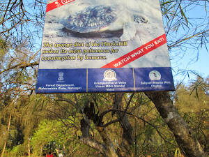Posters on "Turtle Education" on pathway to "Turtle Hatchery" on Velas beach.