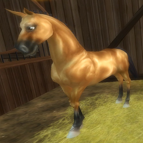 Star Stable Daily Horse Breeds