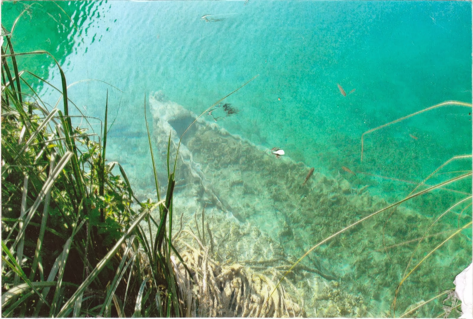 One Postcard a Day Plitvice Lakes National Park, Croatia