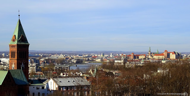 widok z parku bednarskiego wawel i wisła
