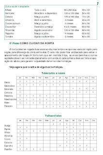 alimentação saudavel
