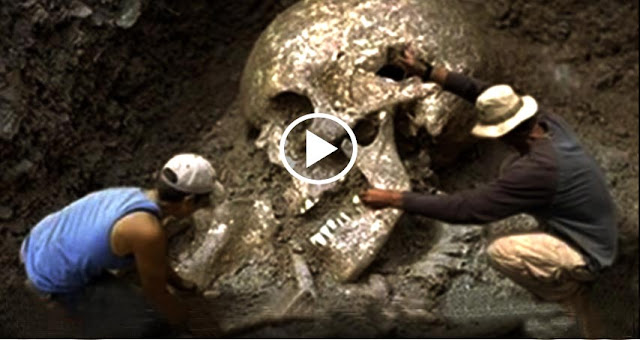 discover of giant human skeleton in the world