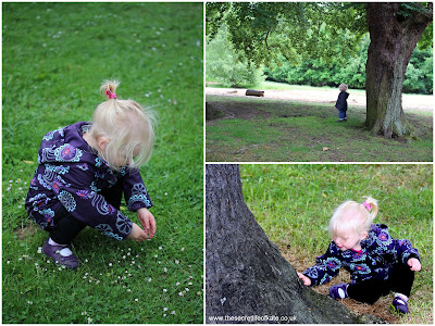 Toddler in the forest A toddler looks at daisies, stands under a tree and strokes a tree