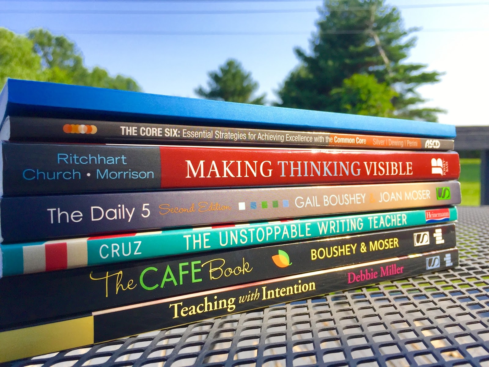Daily 5 Book