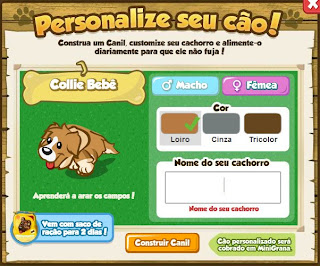 Personalize seu Pet! Personalize Pet