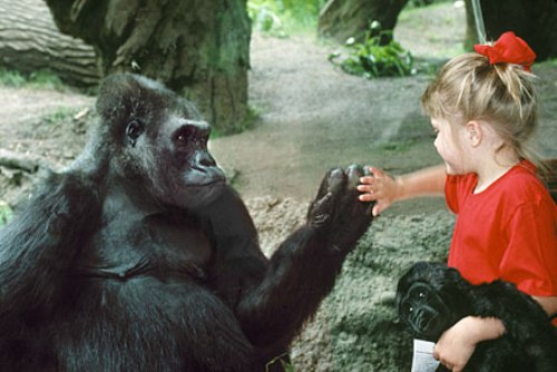 The Best Travelling: Bronx Zoo Wildlife Conservation Park at New York