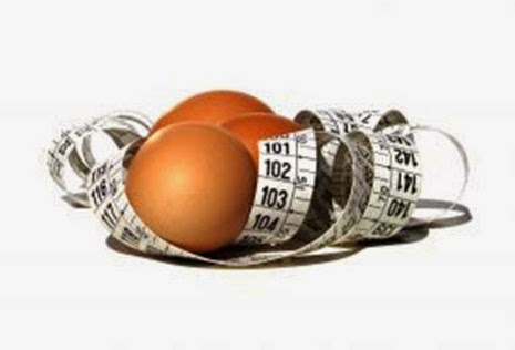Diet Telur Bisa Turunkan Berat Badan Kecantikan, Kesehatan, Lifestyle