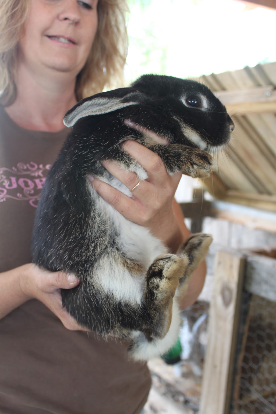 Homestead Life How To Skin a Rabbit