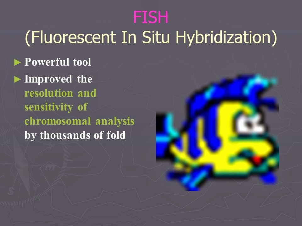 Slide 70