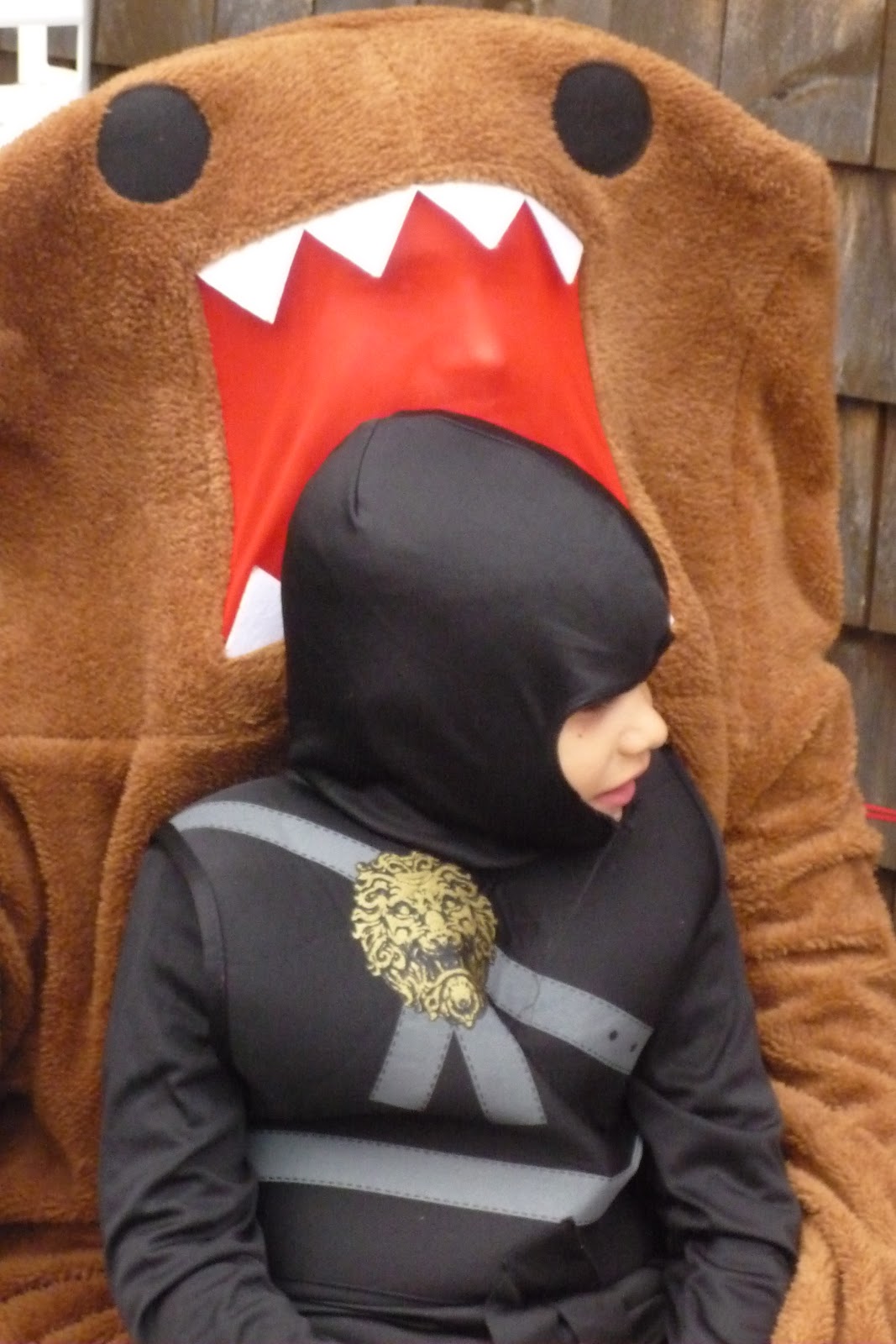 Halloween Bike Ride, Burlington, Vermont. 2012 South Burlington