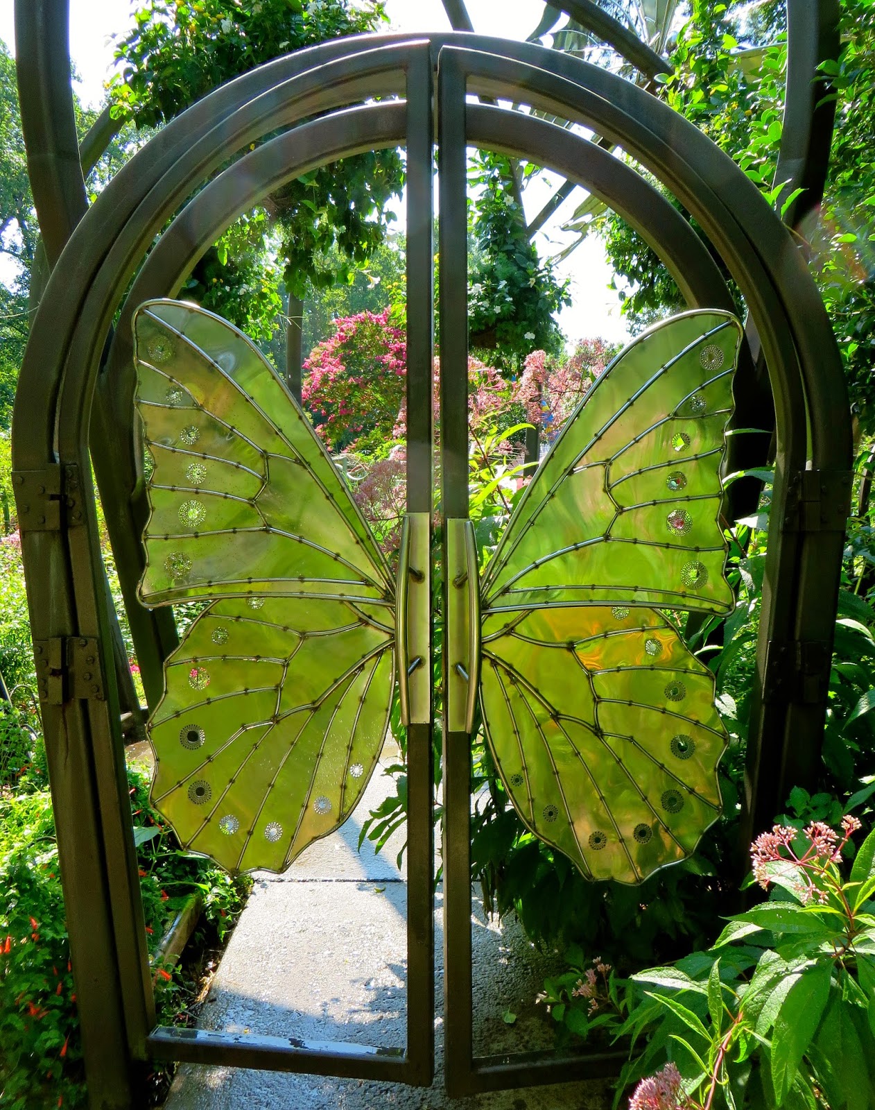 a curious gardener Atlanta Botanical Garden