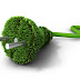 Enel, Renault Italia e Tuscia Operafestival per il green marketing