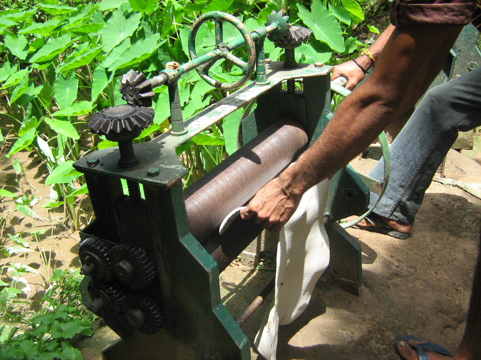 TRIPURA RUBBER May 2013