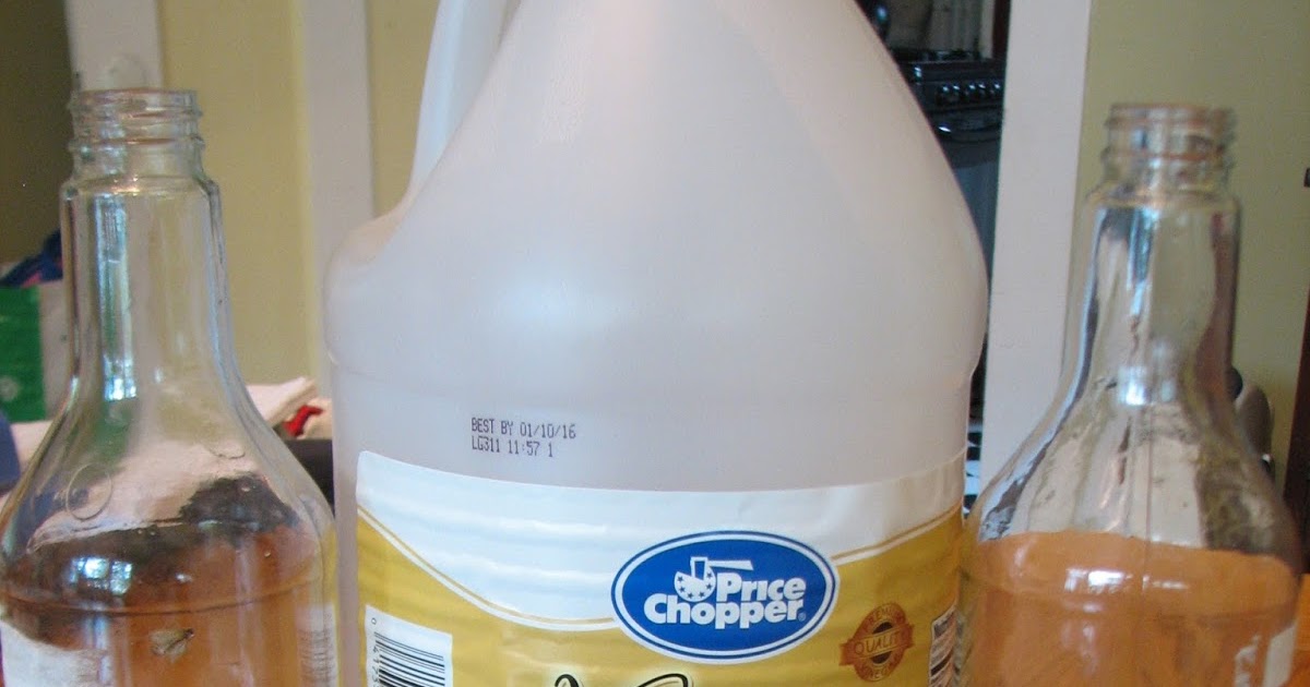 Science Matters Conservation of Matter Steel Wool & Vinegar