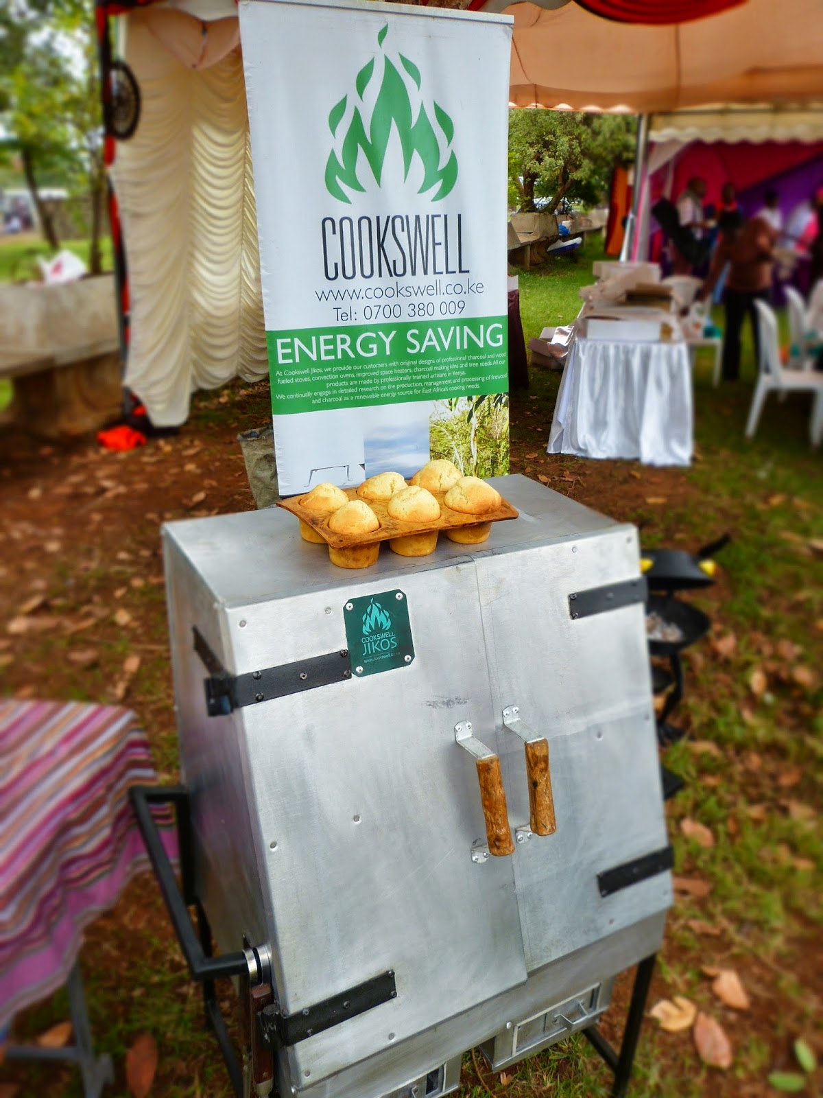Renewable Energy Solutions Kenya