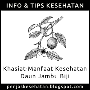 Khasiat Manfaat Daun Jambu Biji Untuk Kesehatan Khasiat Manfaat Daun Jambu Biji Untuk Kesehatan