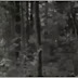 Vídeo.- Camara Encontrada en 1977 Captado Extraño Ser