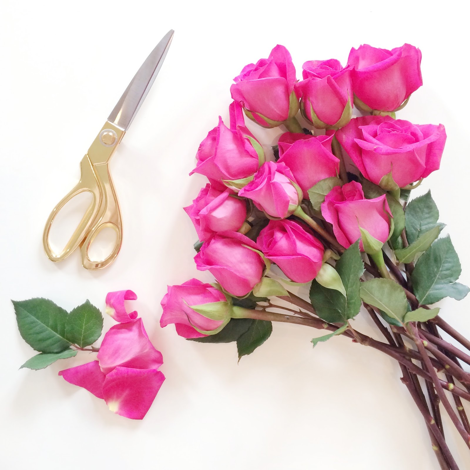 roses and gold scissors
