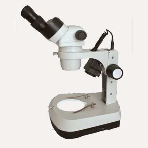 Stereo zoom marijuana microscope