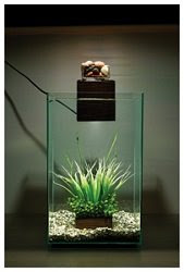 Fluval Chi Nano Aquariums