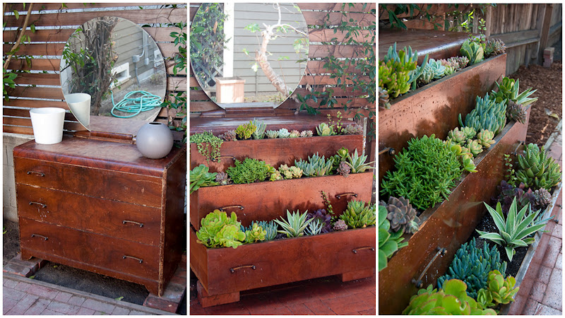 diy succulent projects state diy succulent projects diy succulent projects state diy succulent projects