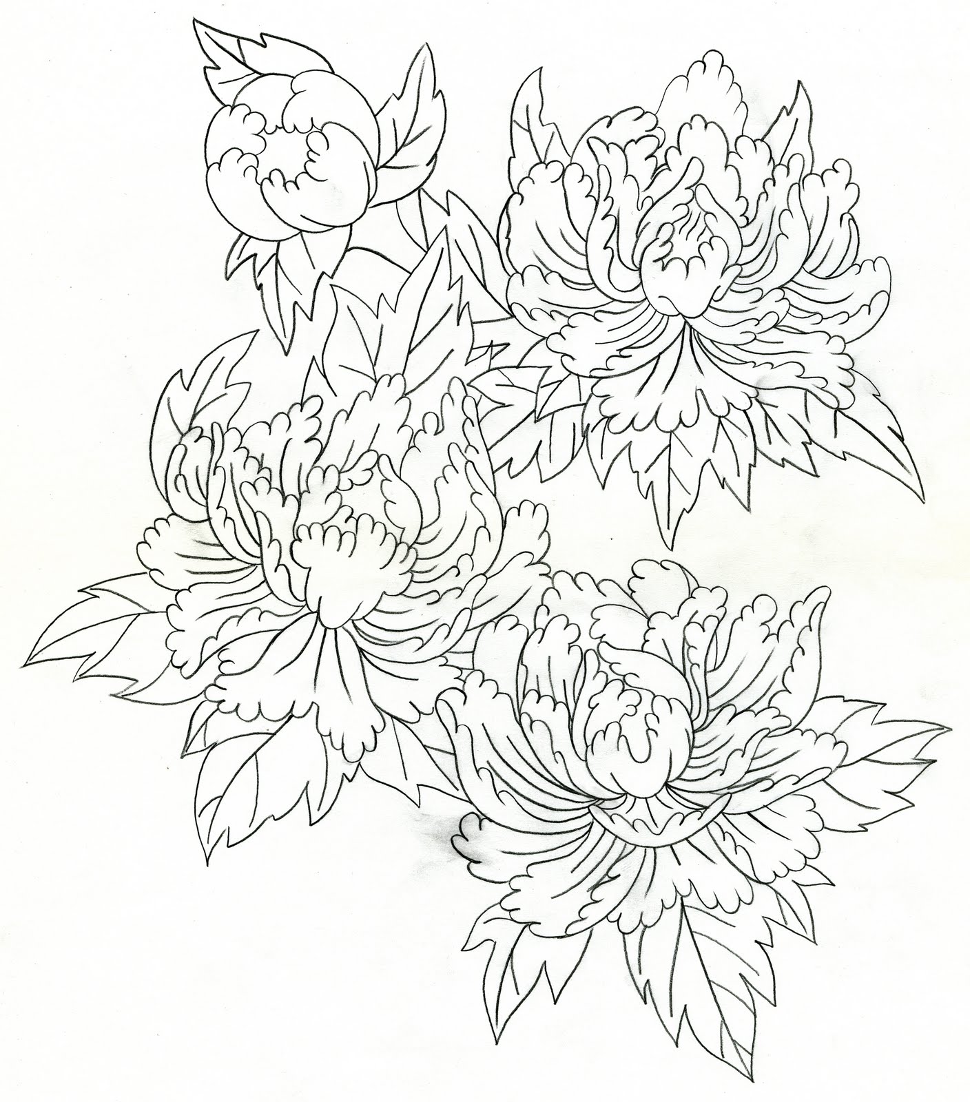 Japanese Peony Tattoo Japanese Peony Tattoo