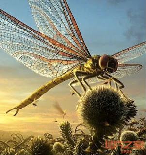 11673-t8e9mJ.jpg