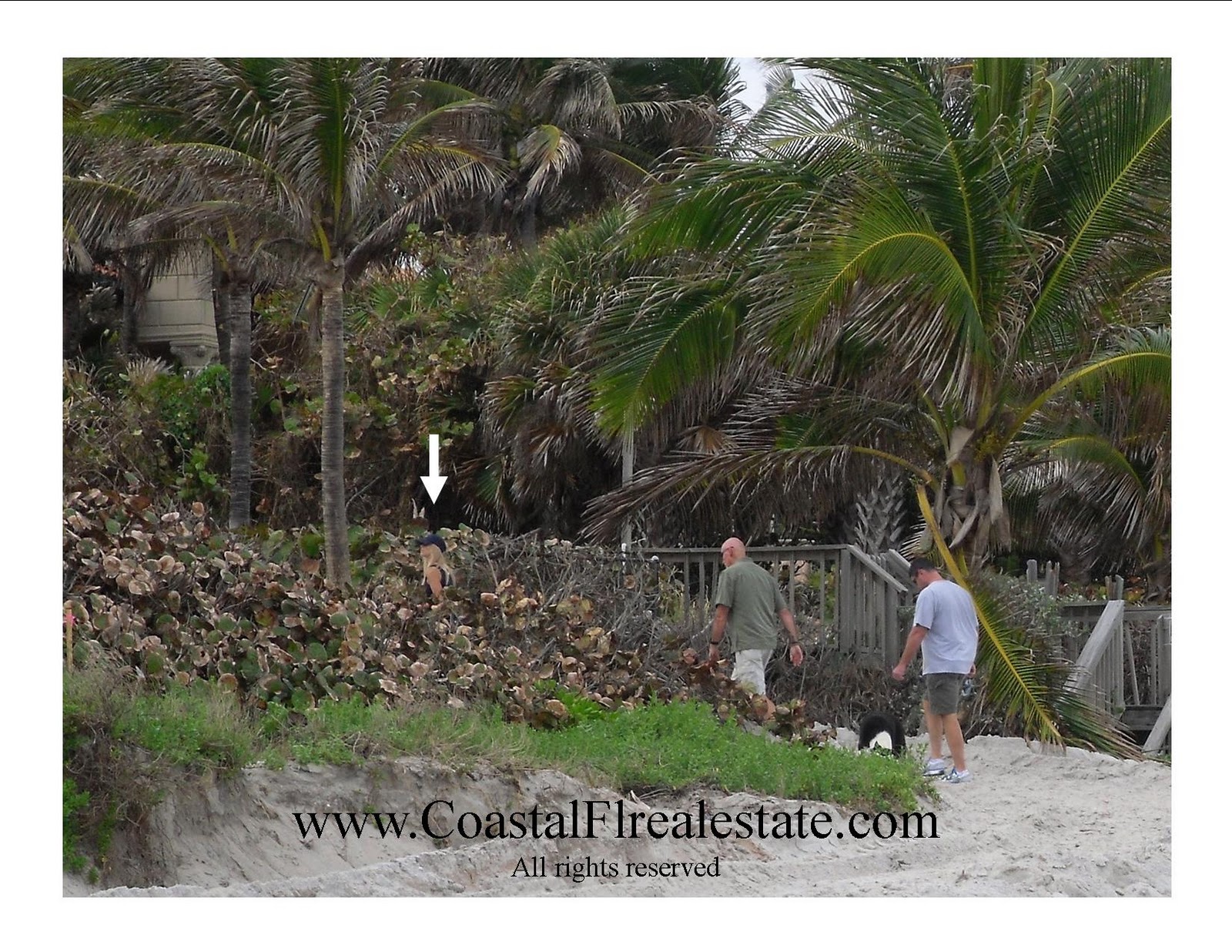 Jupiter Real Estate and Lifestyle: Elin Nordegren walks the beach today