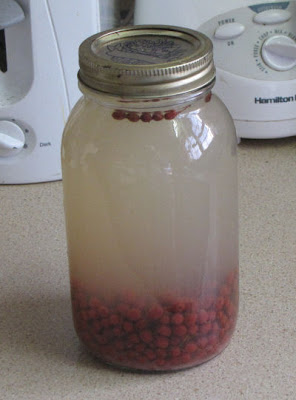 homemade juice