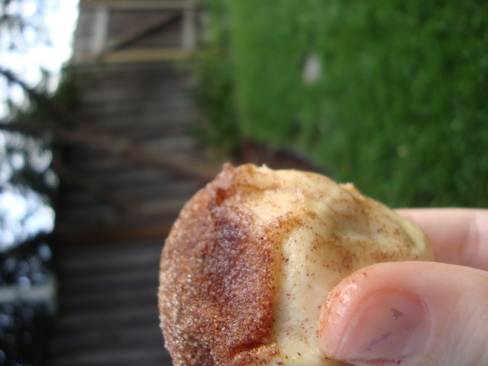The Baking Apprentice "Empty Tomb" Marshmallow Delights