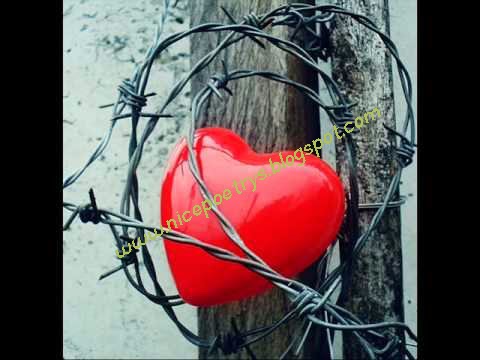Koi Deewana Kehta - Entertainment Forum