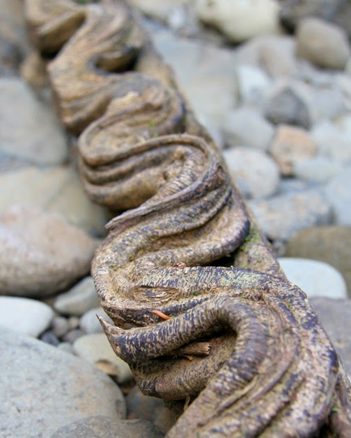 Nessy Designs Monkey Ladder Vine