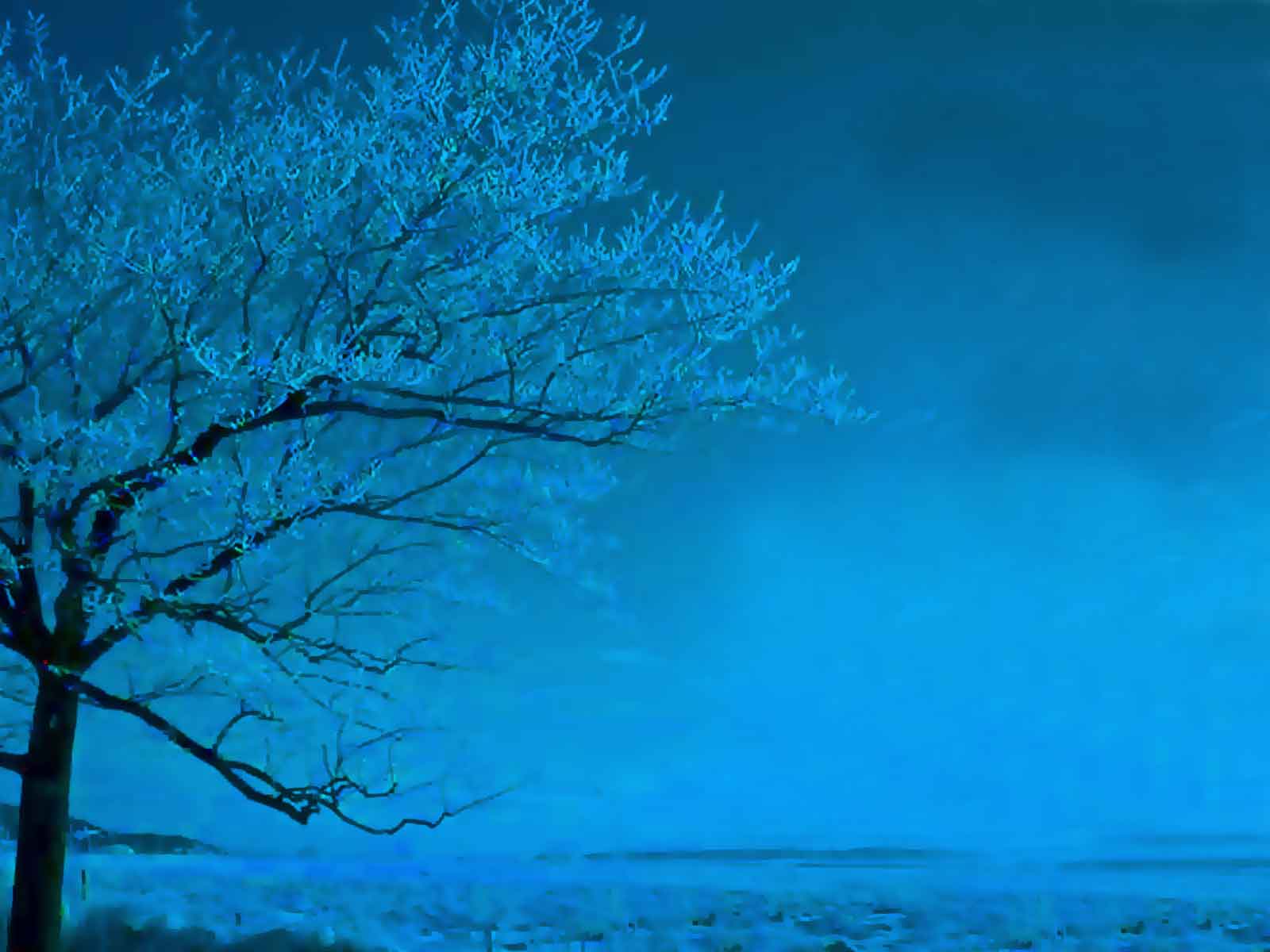 http://4.bp.blogspot.com/-zS0xu_z7dGg/Tjpp0vmDVYI/AAAAAAAACx0/NXlRAZOS7v4/s1600/Nature%20backgrounds%20for%20powerpoint%202.jpg