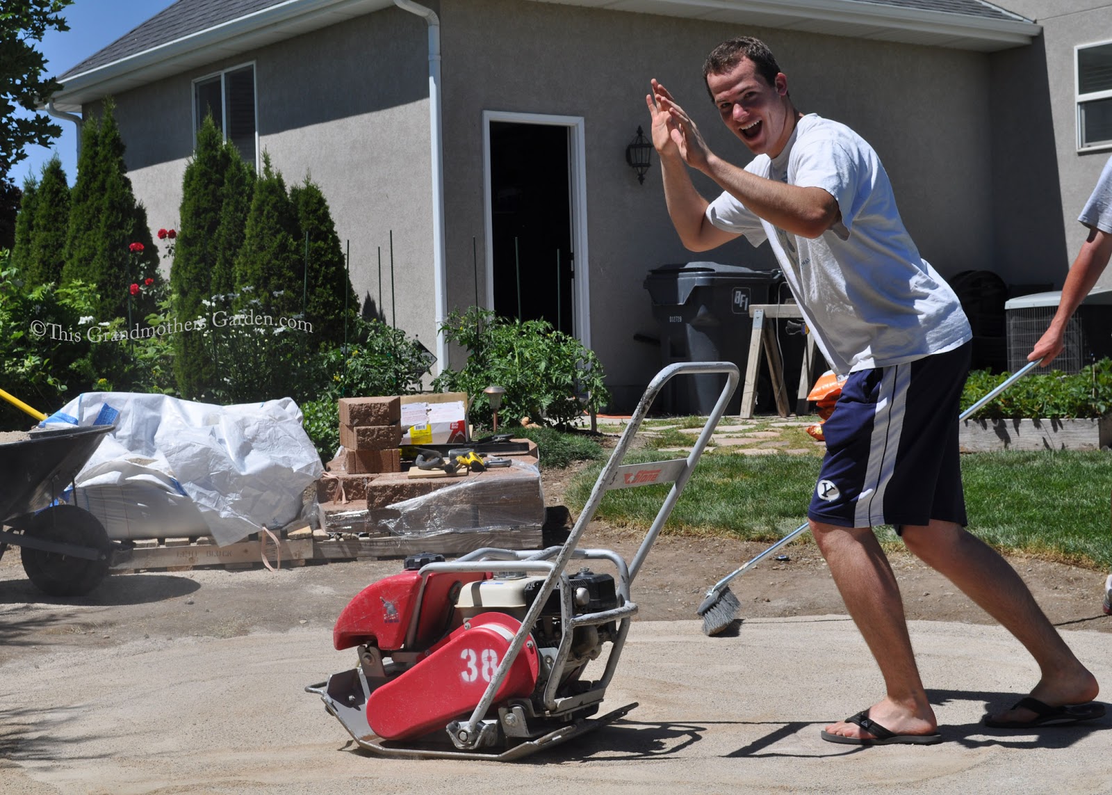 This Grandmother's Garden August 2012