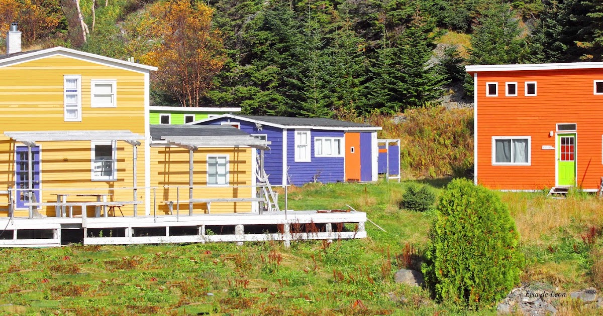 Birding with Lisa de Leon Bauline East