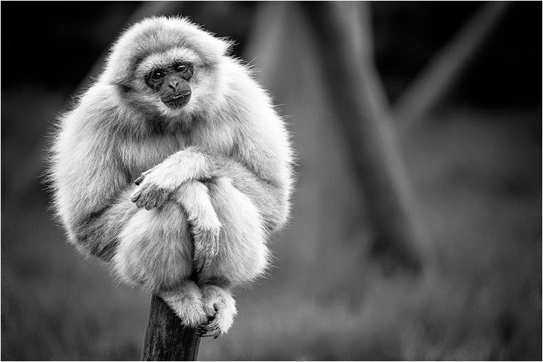 emerging photographers, Best Photo of the Day in Emphoka by Andy McGarry, https://flic.kr/p/ngzmnt emerging photographers, Best Photo of the Day in Emphoka by Andy McGarry, https://flic.kr/p/ngzmnt