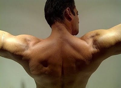 salman khan bodybuilding (2) « Tollywood And Bollywood Actress Wallpaper