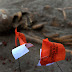 UNHRC should back-date its war crimes probe to 1983