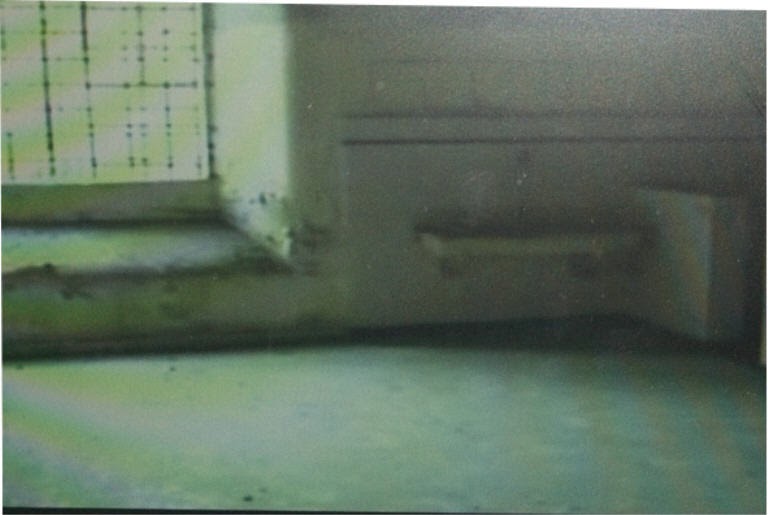 Faites entrer laccus Roberto Succo - Succo le fou TV