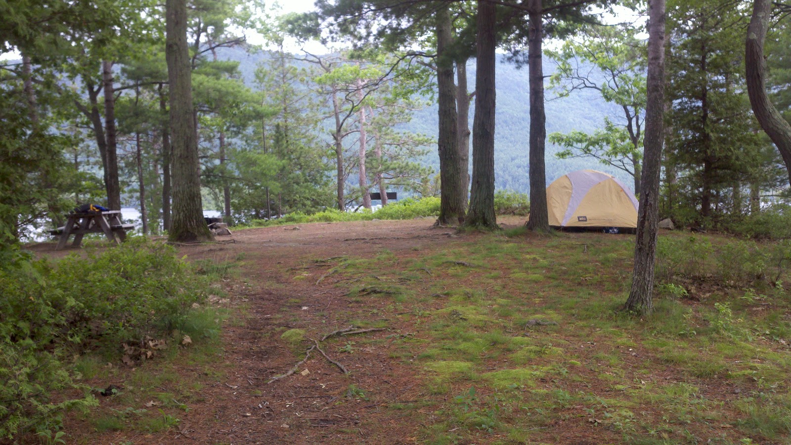 Off on Adventure Steere Island (Lake Mother Bunch Islands