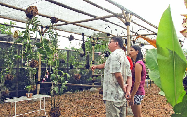 TUNE : Tune's Kokedama and String Garden