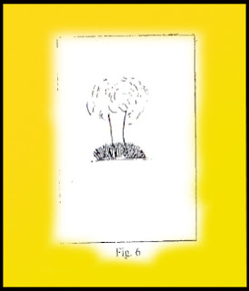 psicologia-grafologia-dibujo-test-prueba-proyeccion-tecnica proyectiva