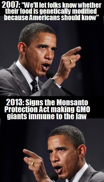 Obama+Protects+Monsanto.jpg
