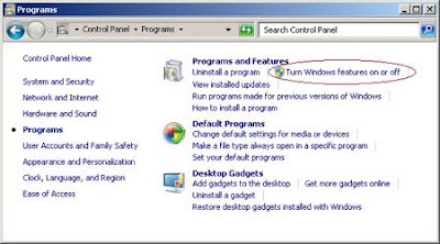 Program and Feature
