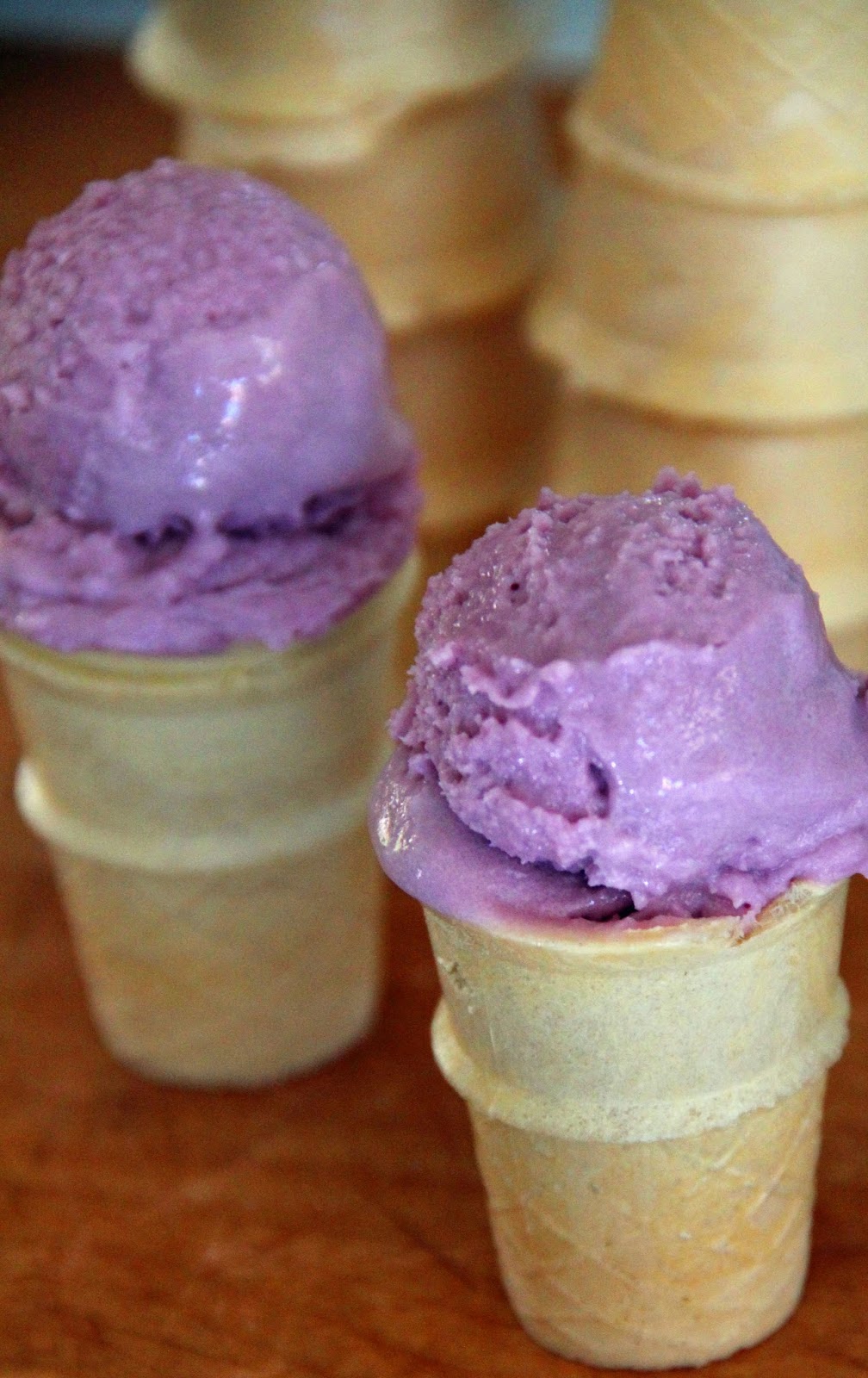 Jo and Sue Concord Grape Ice Cream