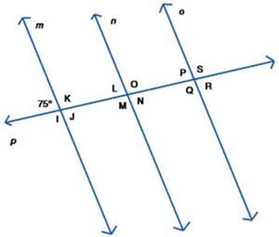 What Is Transversal Line What Is Transversal Line