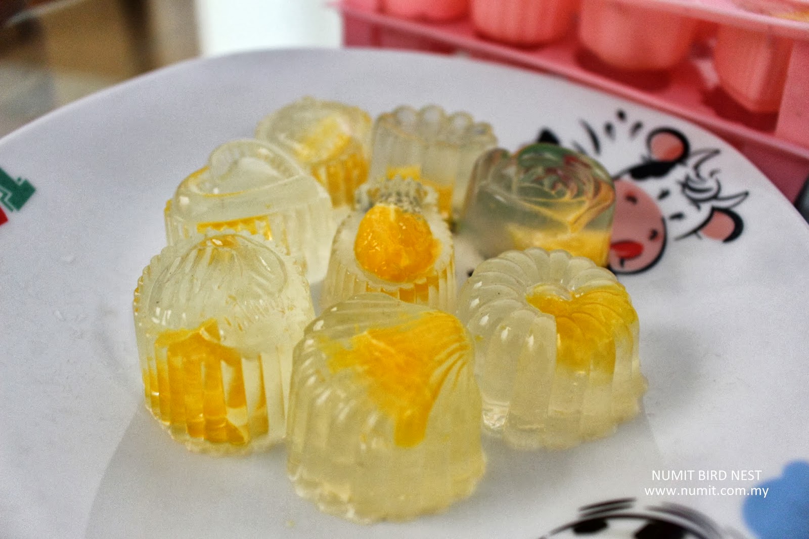 NUMIT Bird Nest 浓密燕窝 BIRD's NEST ORIGINATED FROM TAIPING, MALAYSIA